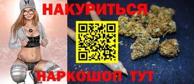 дурь Сланцы