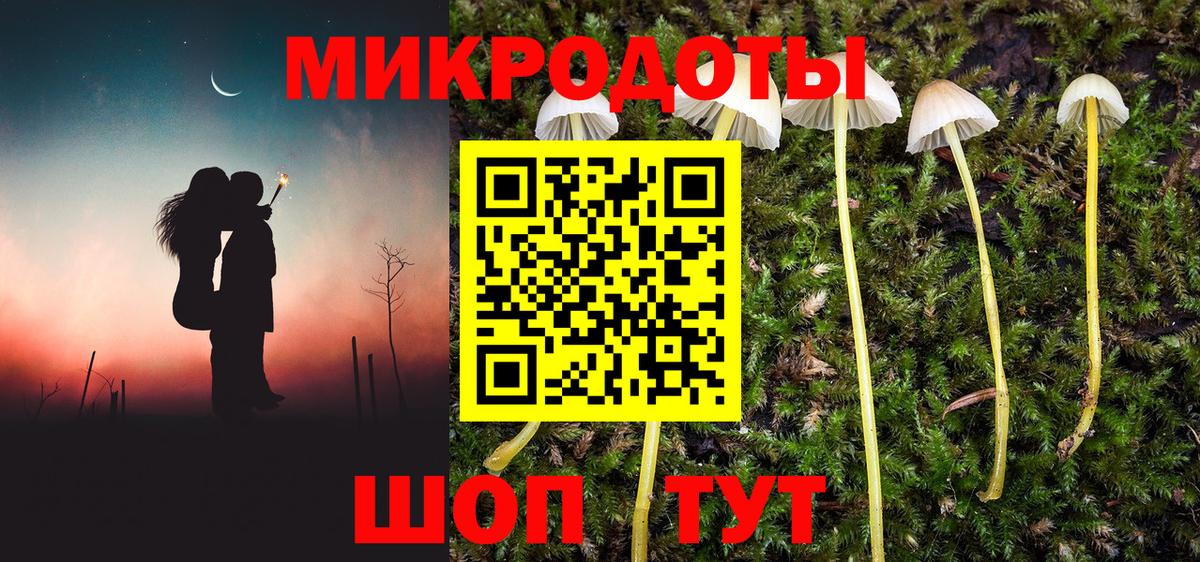 Галлюциногенные грибы мухоморы Рассказово