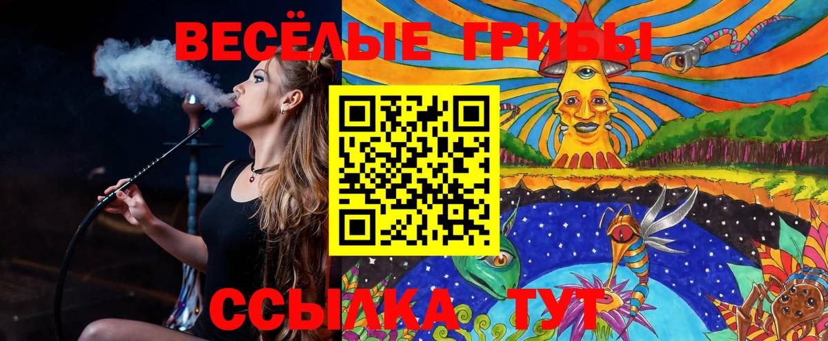 Псилоцибиновые грибы ЛСД  Галлюциногенные грибы Psilocybe  Рассказово  Вход с VPN 